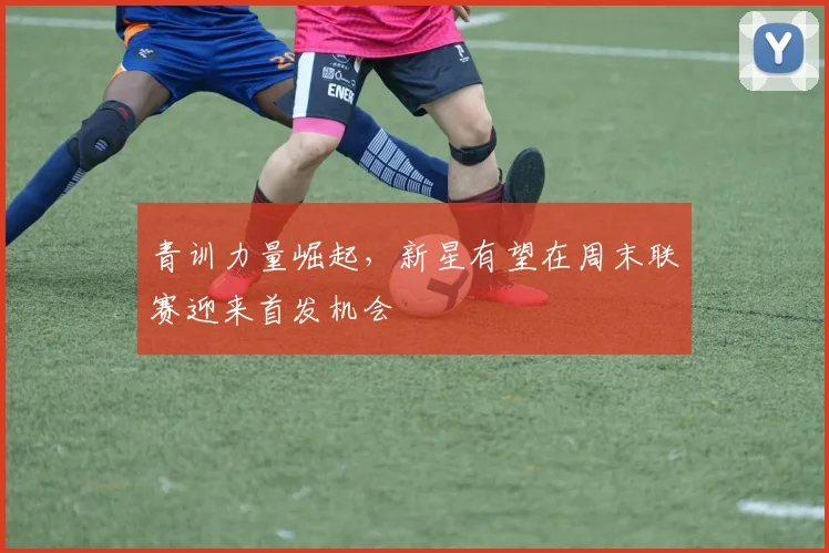 青训力量崛起，新星有望在周末联赛迎来首发机会